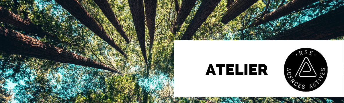 Atelier RSE – Agences Actives